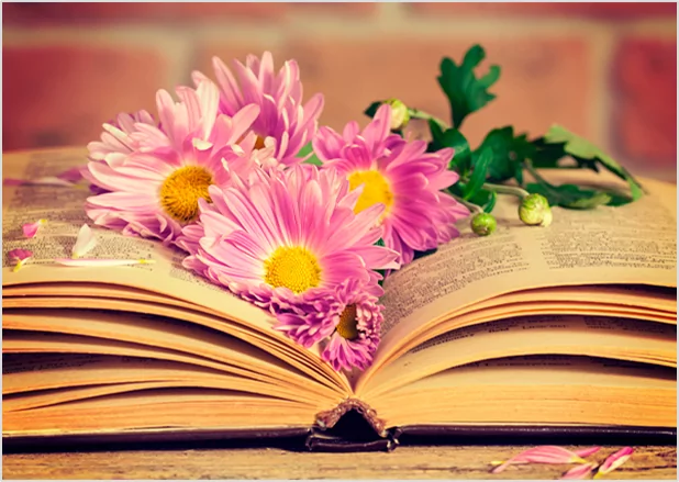 Pink flowers resting on an open vintage book, illustrating creative poetry publishing and floral design.